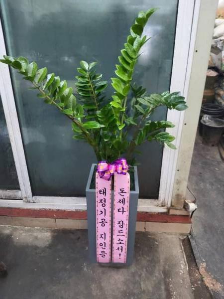 배송사진