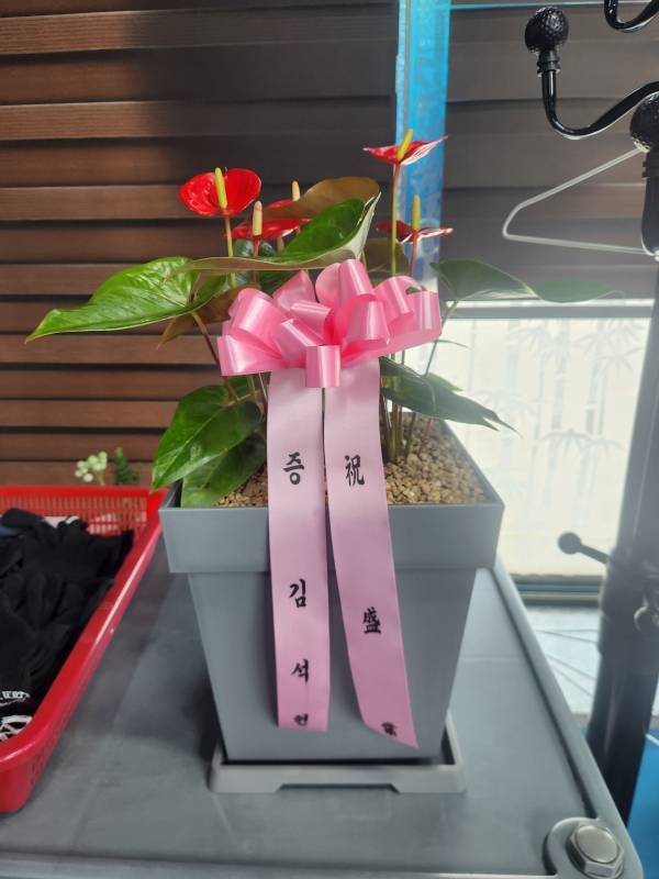 배송사진