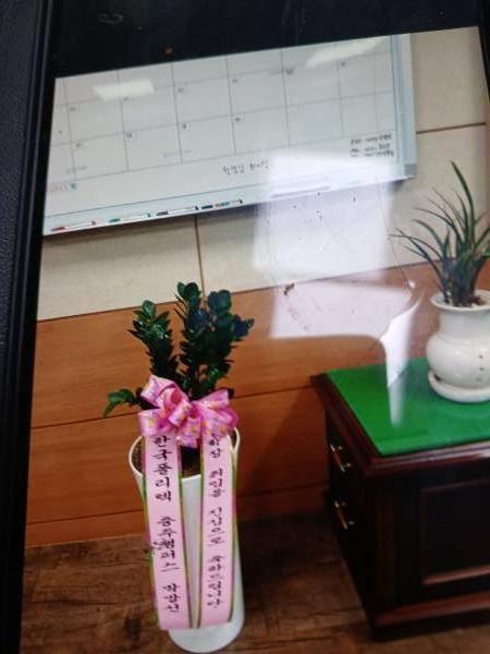 배송사진