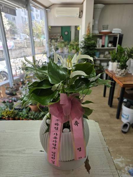 배송사진