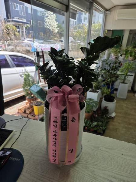 배송사진