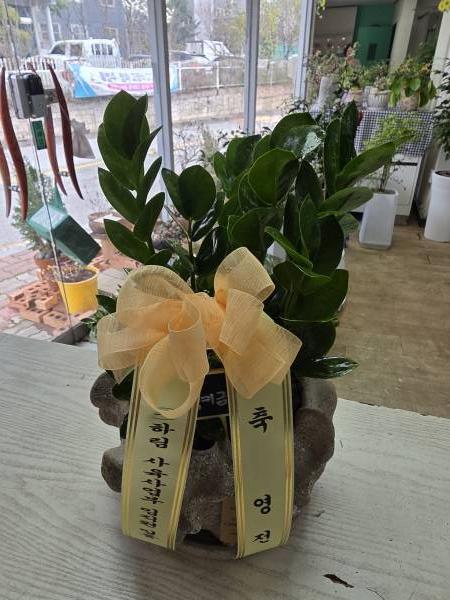 배송사진