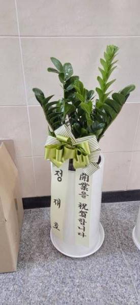 배송사진