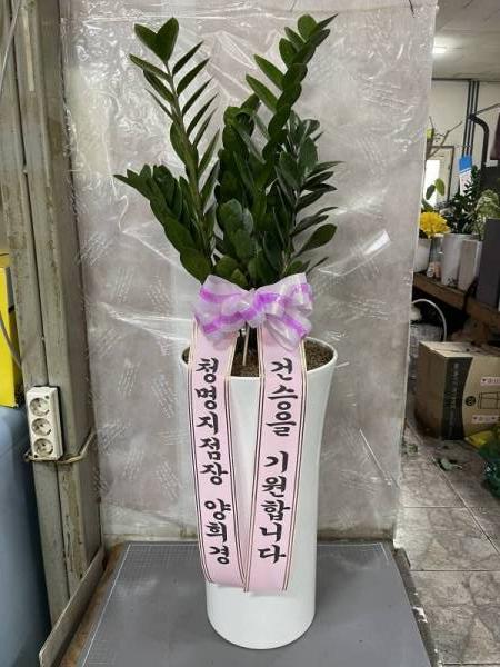 배송사진