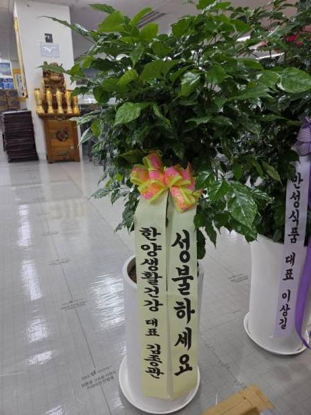 배송사진