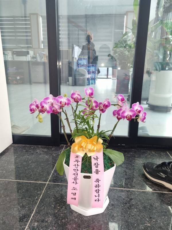 배송사진