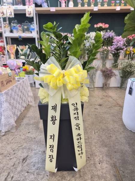 배송사진