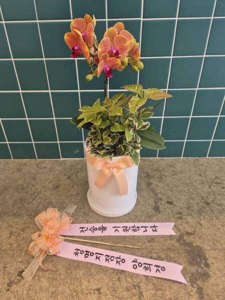 배송사진