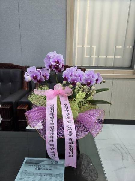 배송사진