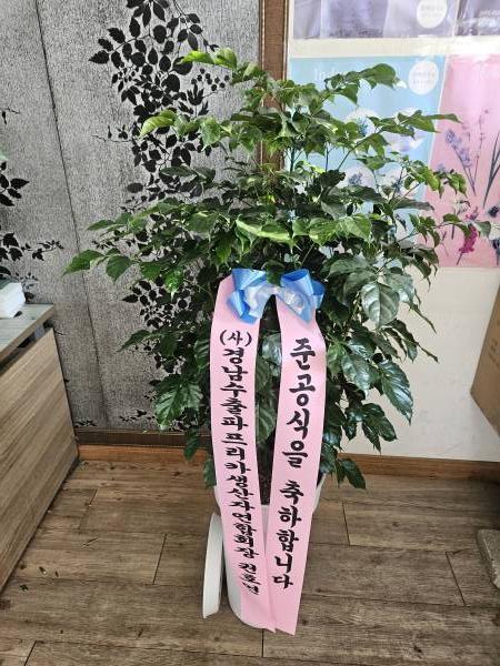 배송사진
