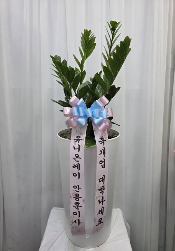 배송사진