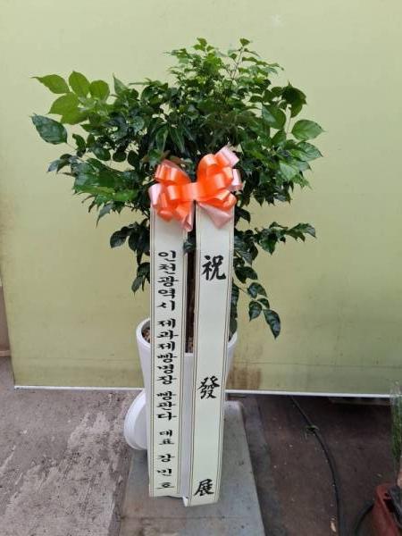배송사진