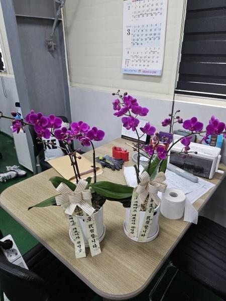 배송사진