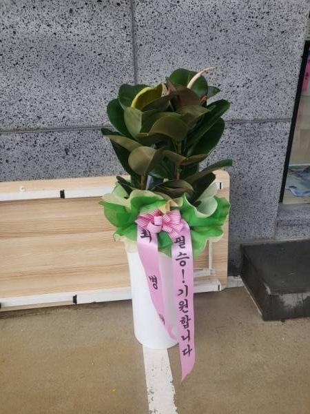 배송사진