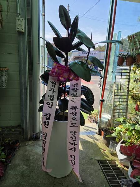 배송사진