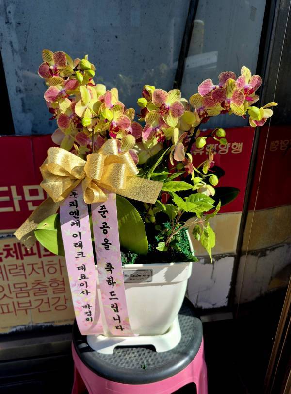 배송사진