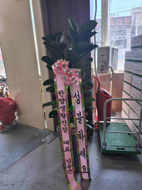 배송사진