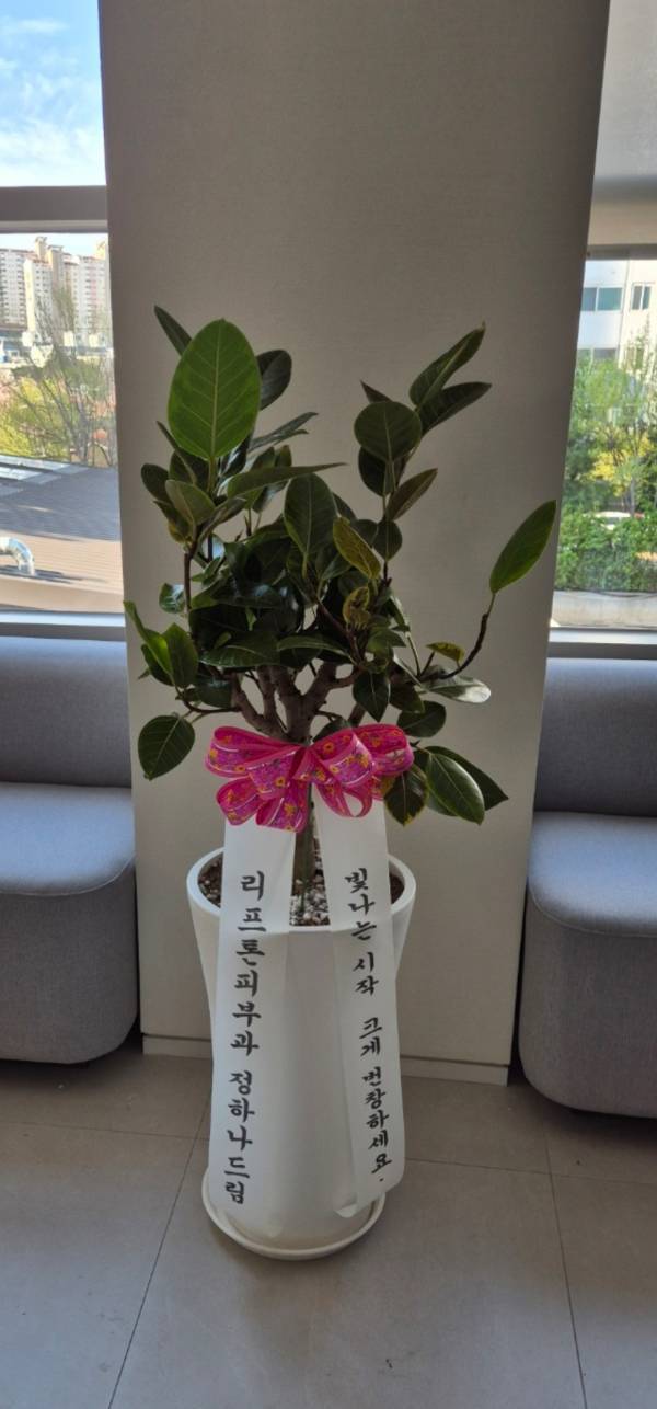배송사진