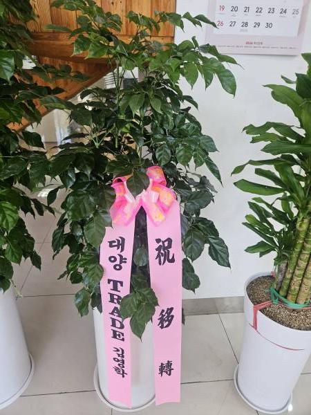 배송사진
