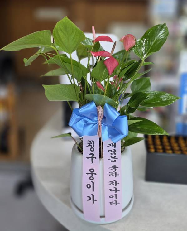 배송사진