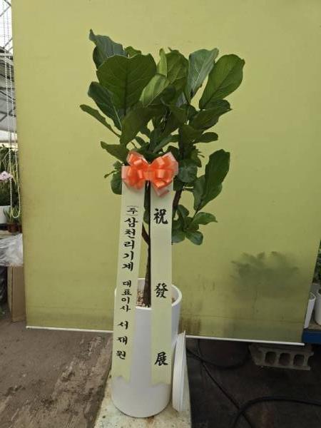 배송사진