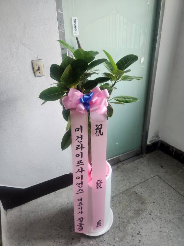 배송사진