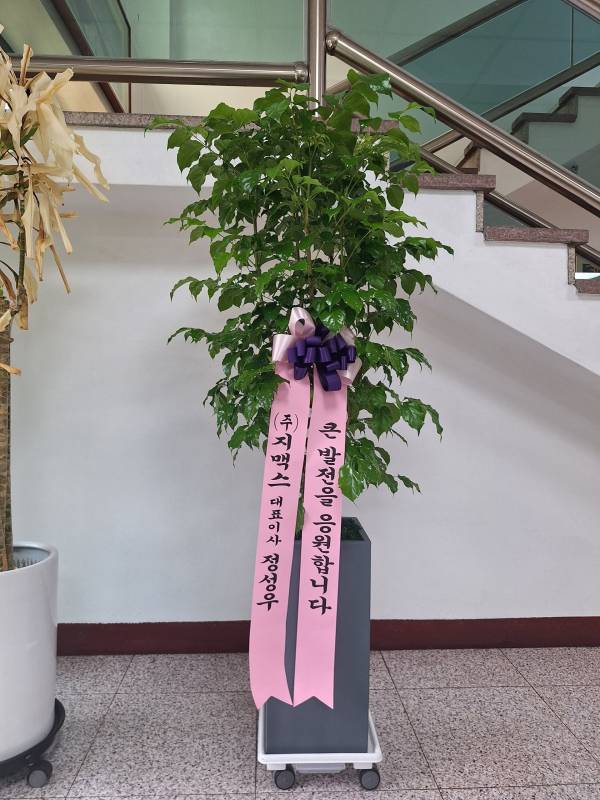 배송사진