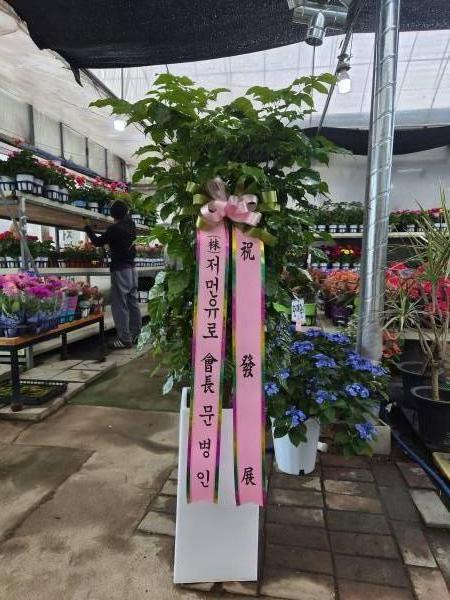 배송사진