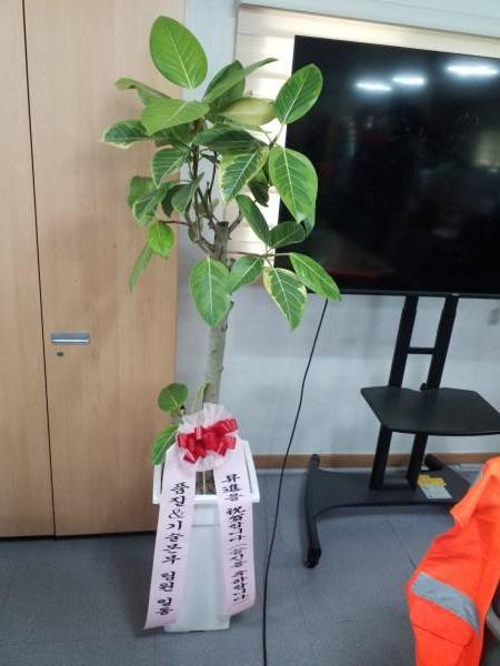 배송사진