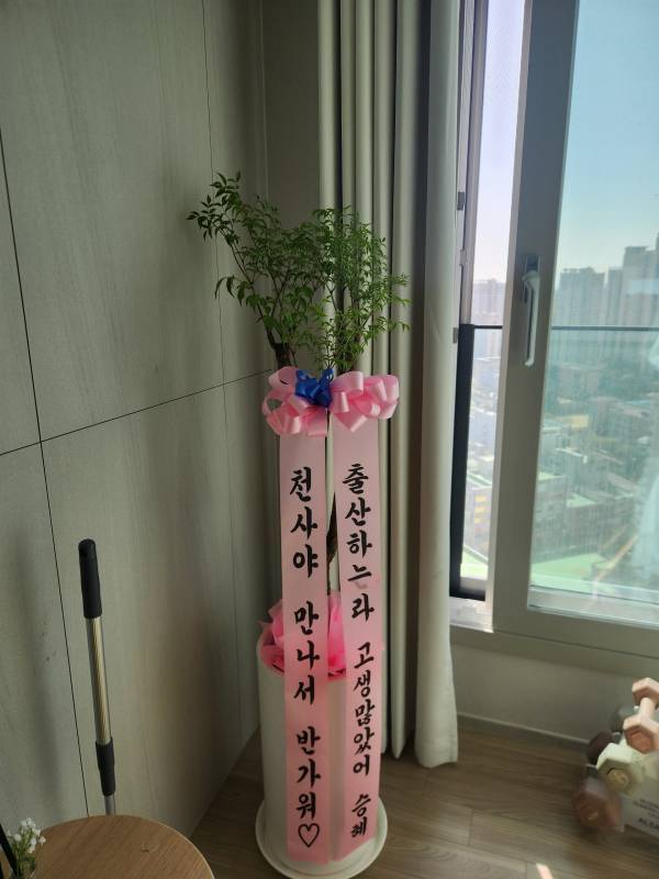 배송사진