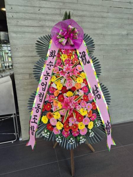 배송사진