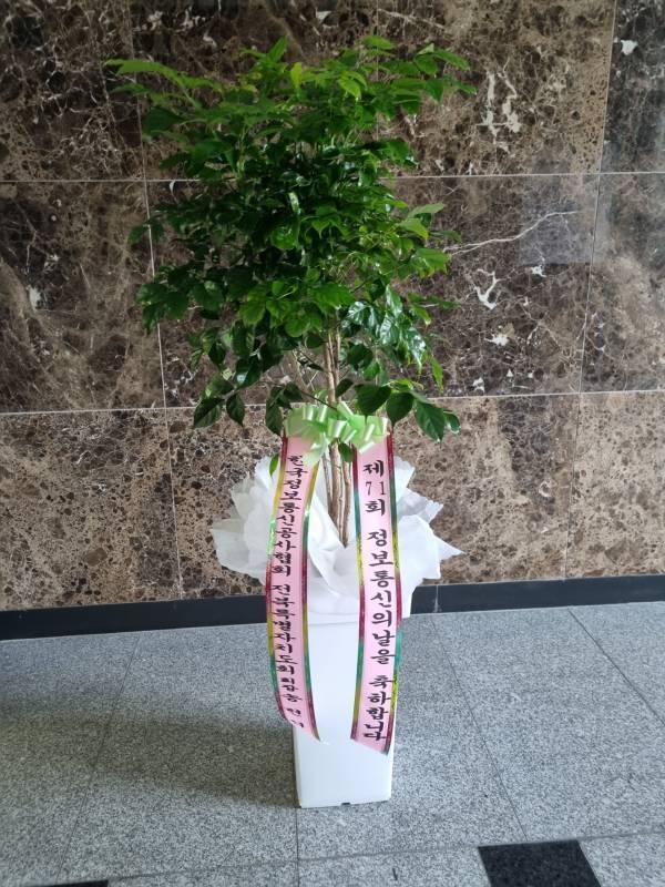 배송사진