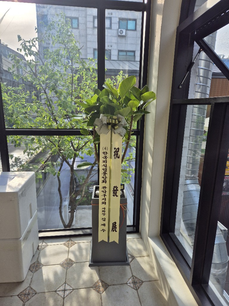업로드 이미지