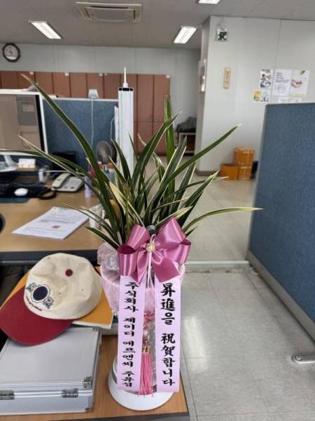 배송사진