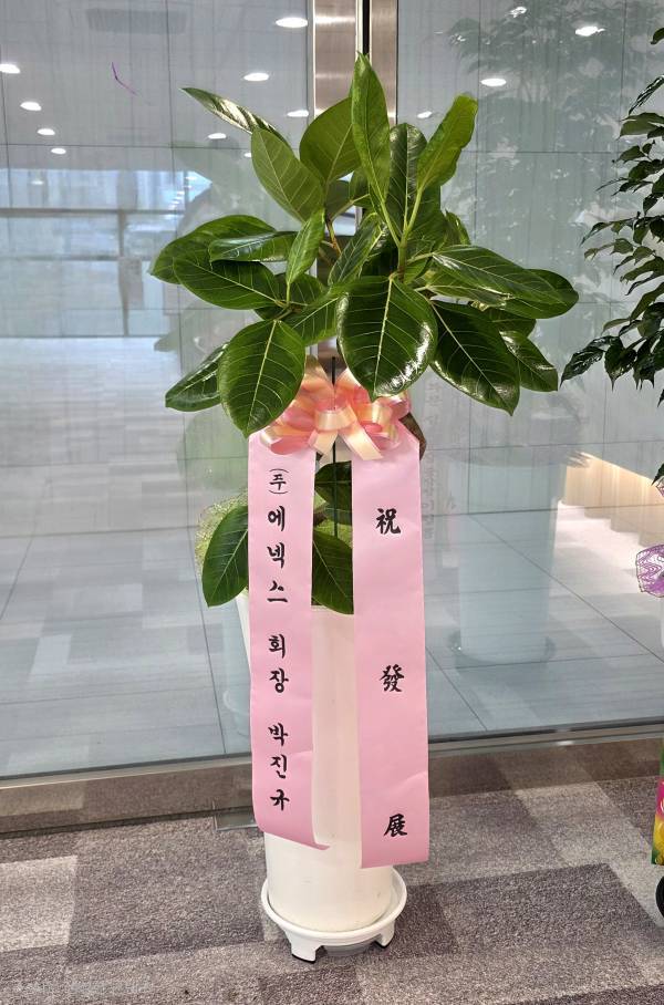 배송사진