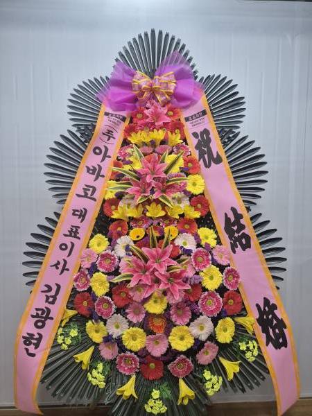 업로드 이미지