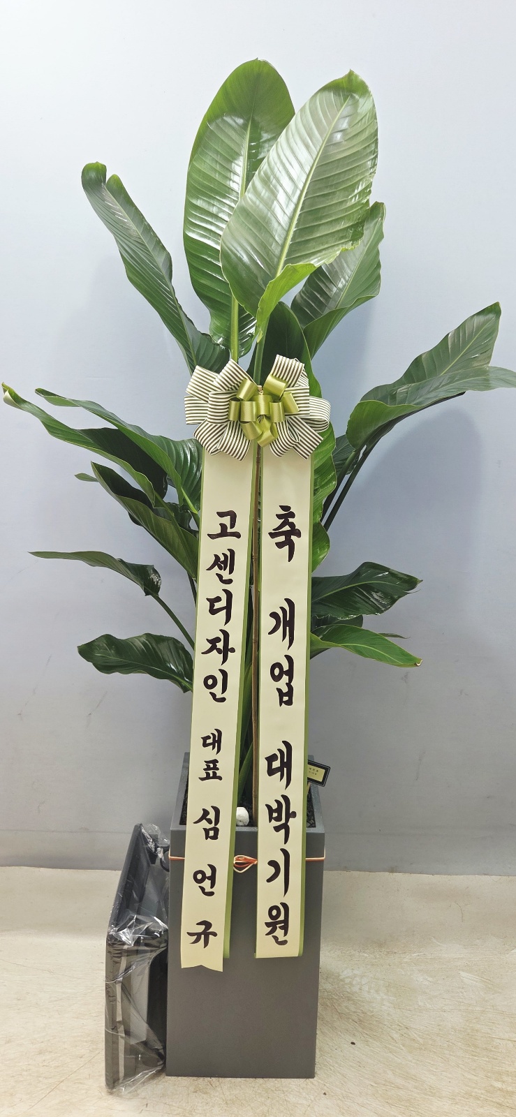 업로드 이미지