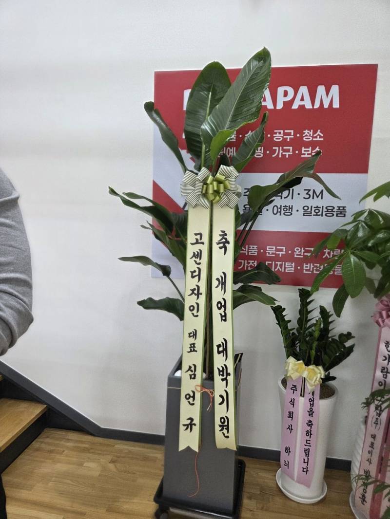 업로드 이미지