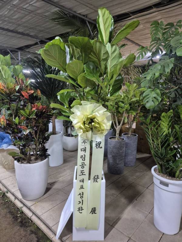 배송사진