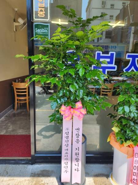 배송사진