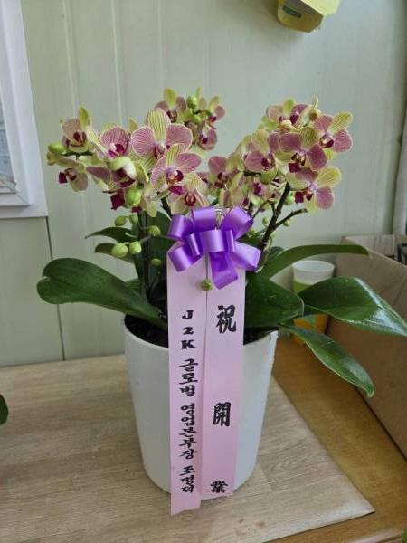 배송사진