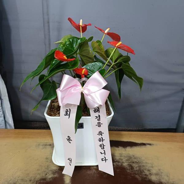 배송사진