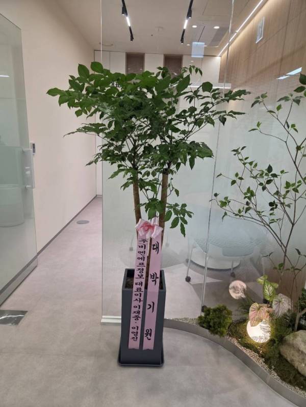 배송사진
