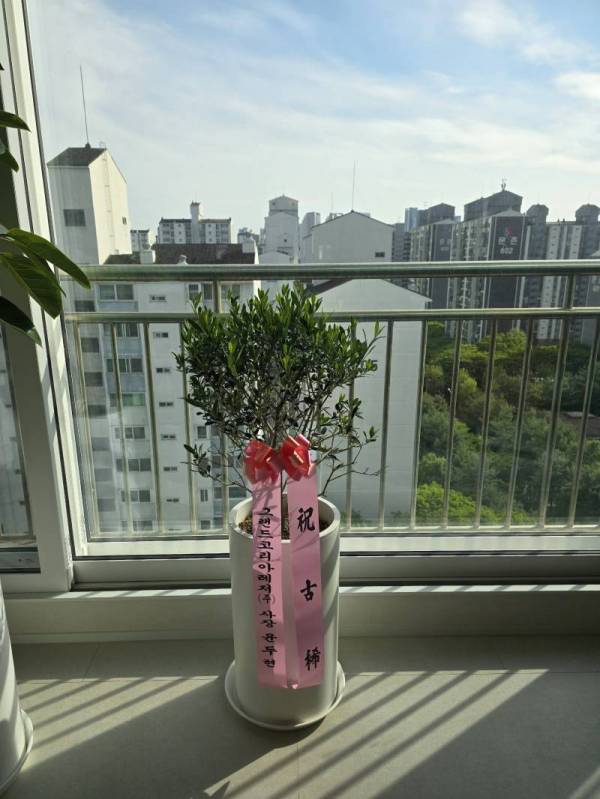 배송사진