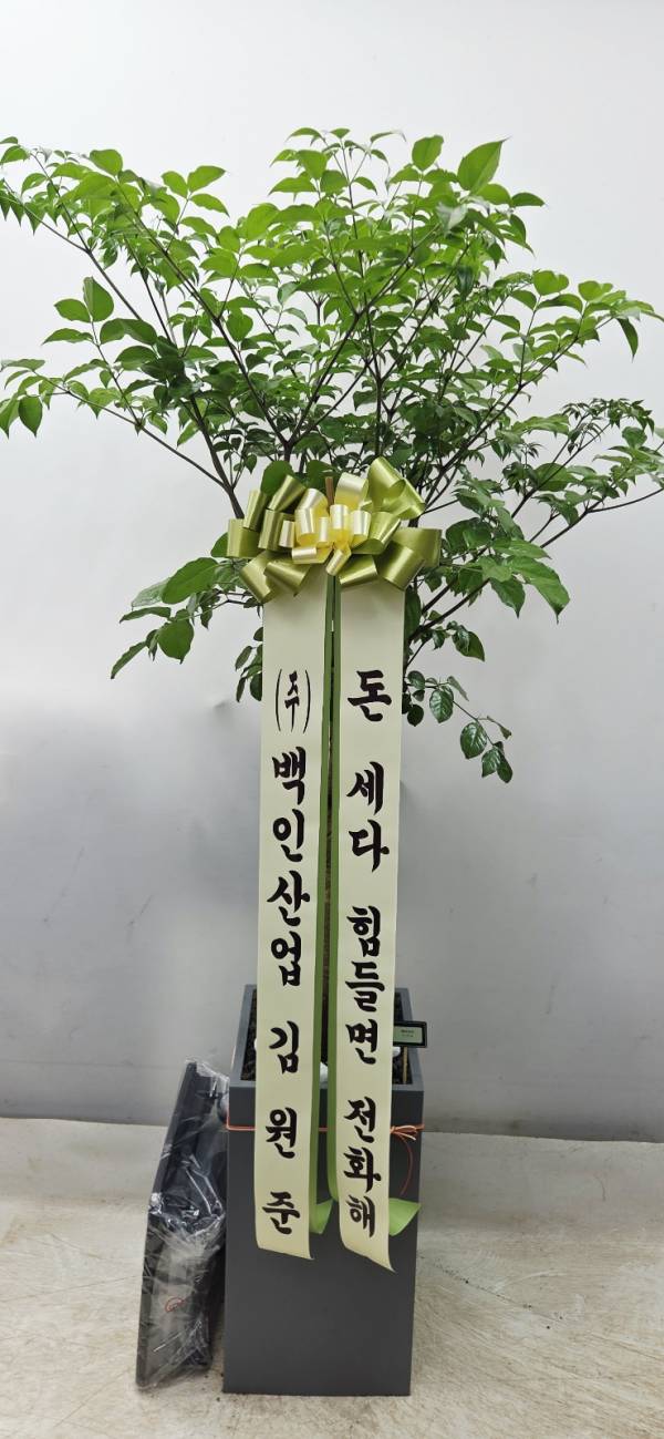 배송사진
