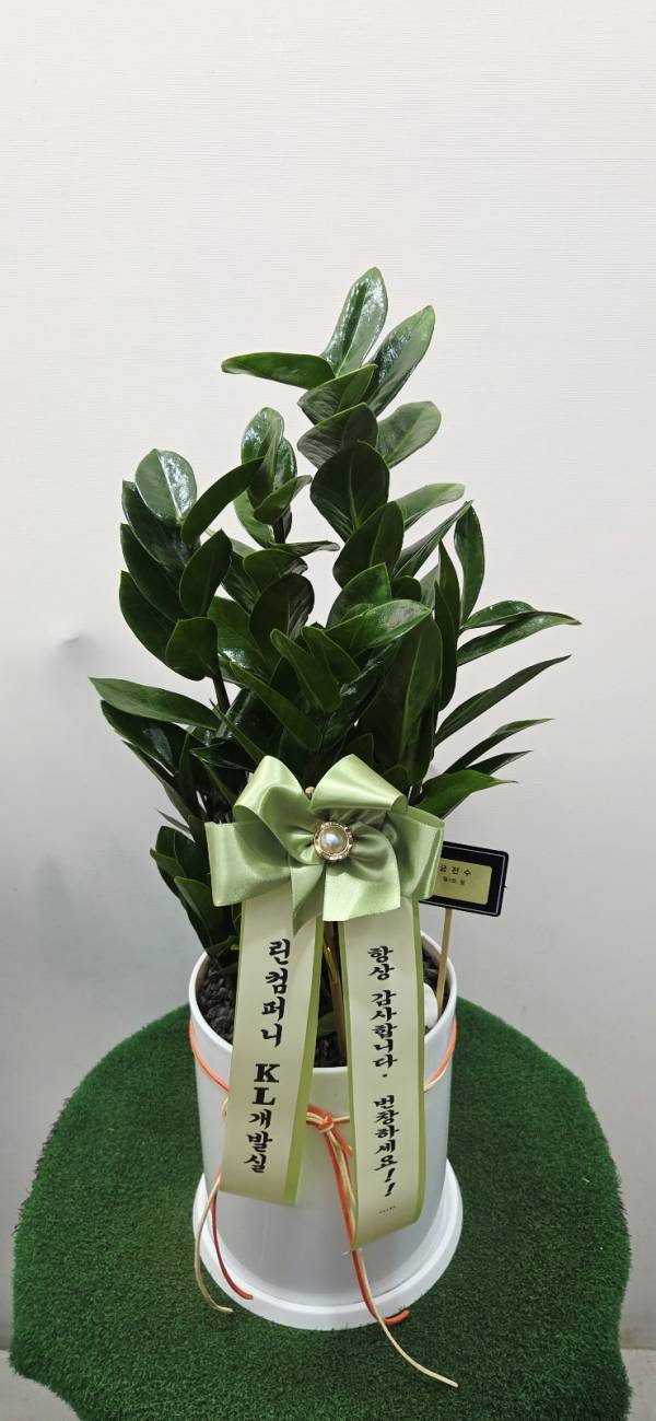 배송사진