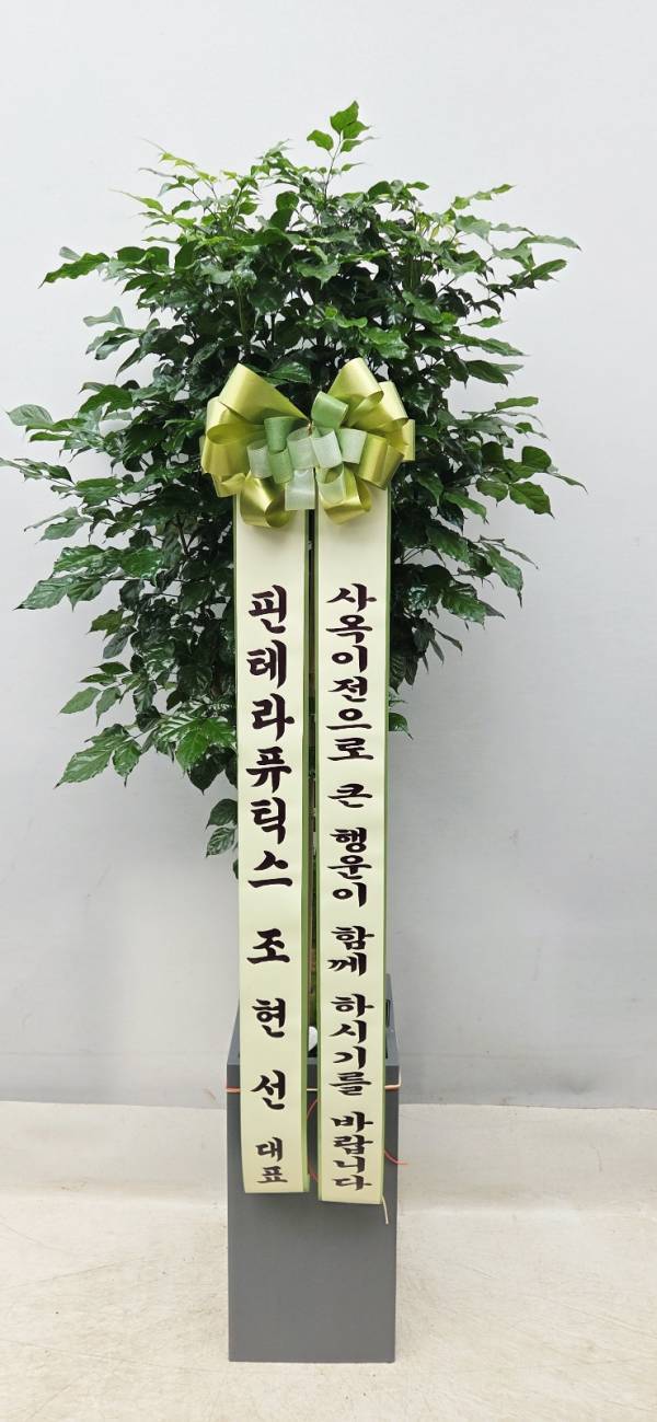 배송사진