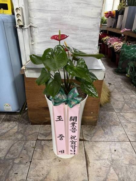 배송사진