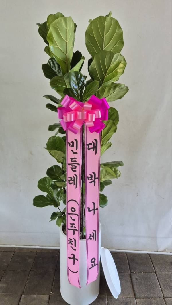 배송사진