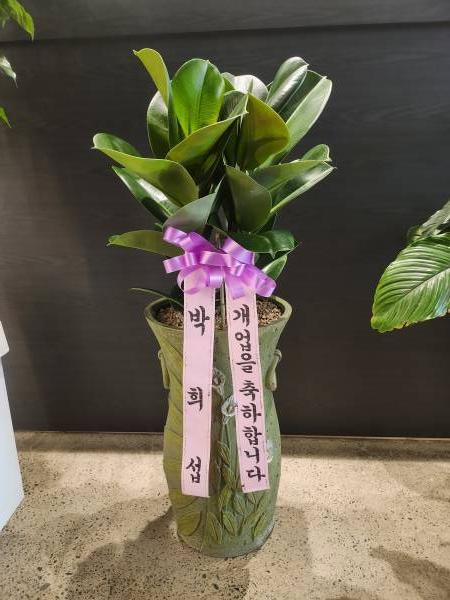 배송사진